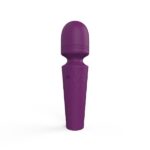 Twinkles Rechargeable Wand