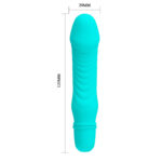 10 Function Purple Vibrator