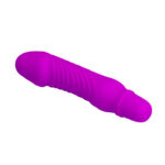 10 Function Purple Vibrator