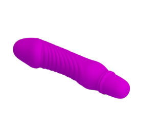 10 Function Purple Vibrator
